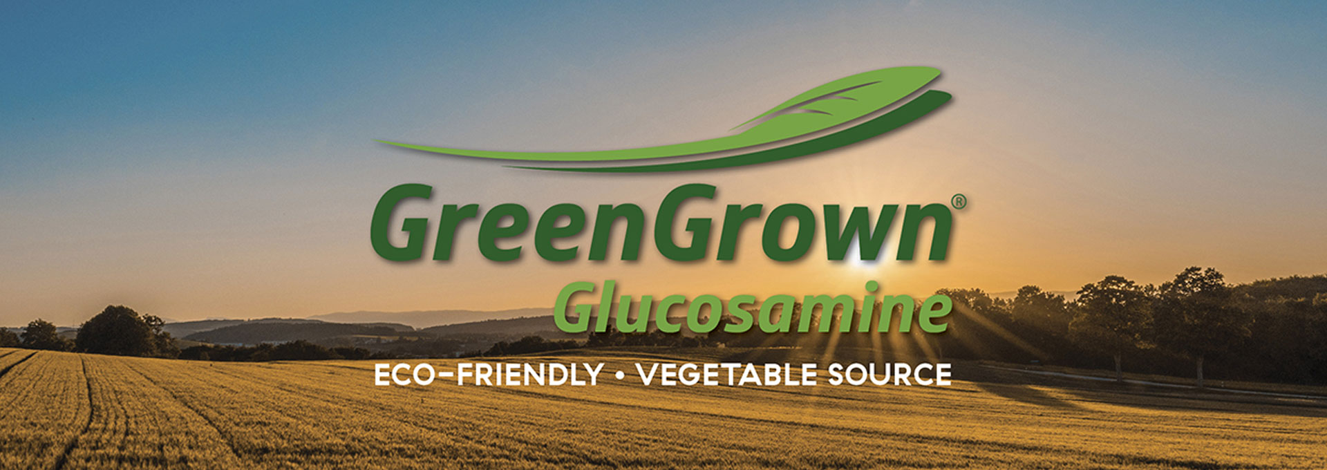 GreenGrown Glucosamine Banner