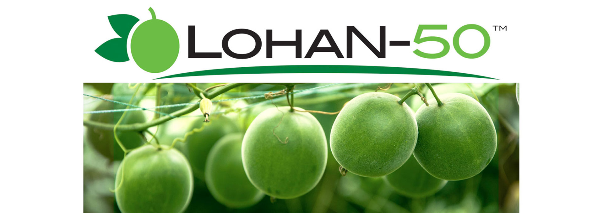 Lohan-50 Banner