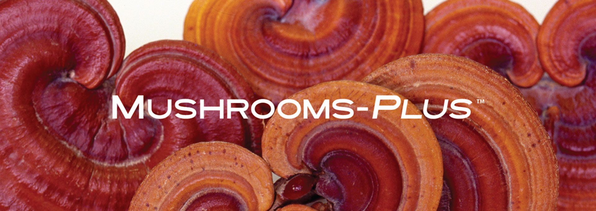 Mushrooms-Plus Banner