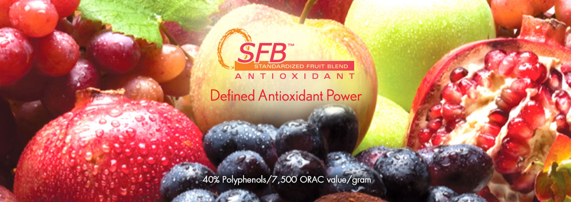 SFB Antioxidant Banner