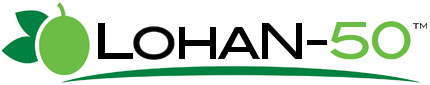 Lohan-50 logo