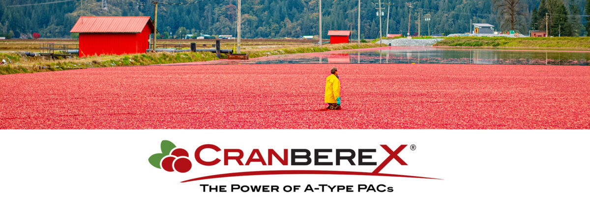 Cranberex banner